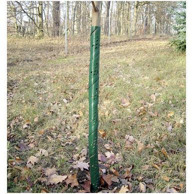 Spiral tree guard RW 120 cm