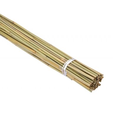 Bamboo 1.5 m (ø 16-18 mm) 100 pcs. Bamboo 1.5 m (ø 16-18 mm) 100 pcs.