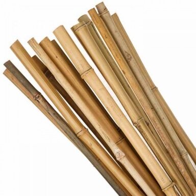 Bamboo 0.9 m (ø 10-12 mm) 250 pcs. Bamboo 0.9 m (ø 10-12 mm) 250 pcs.