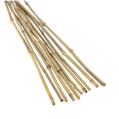 Bambukas 60 cm (6-8 mm) 1000 vnt.