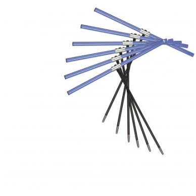 Age (increment) borer  (20 cm) 1