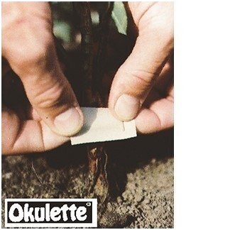 Budding ties Okulette R 21 3 Budding ties Okulette R 21 3
