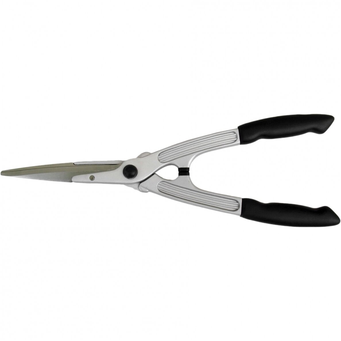 Due Buoi 613/20 Due Buoi 613/20