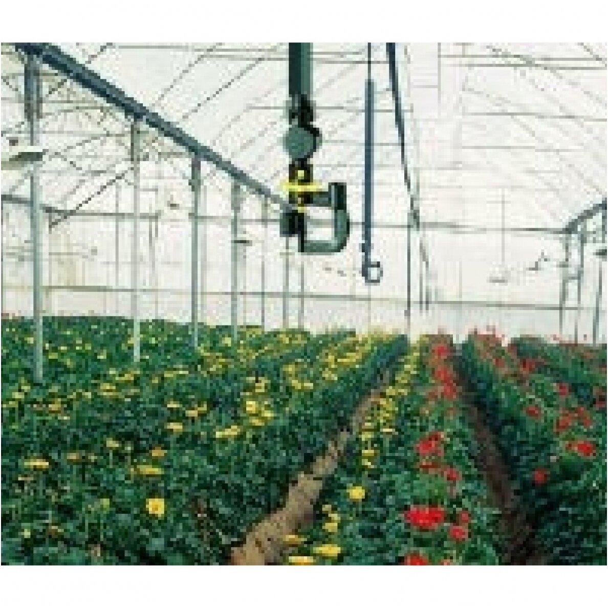 Hanging fog sprayer 41l/val. 3
