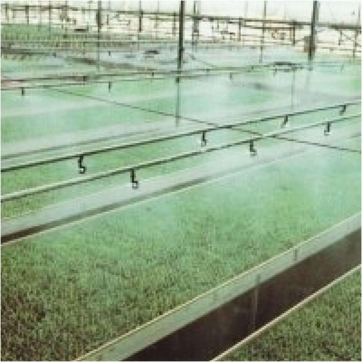 Hanging fog sprayer 41l/val. 1