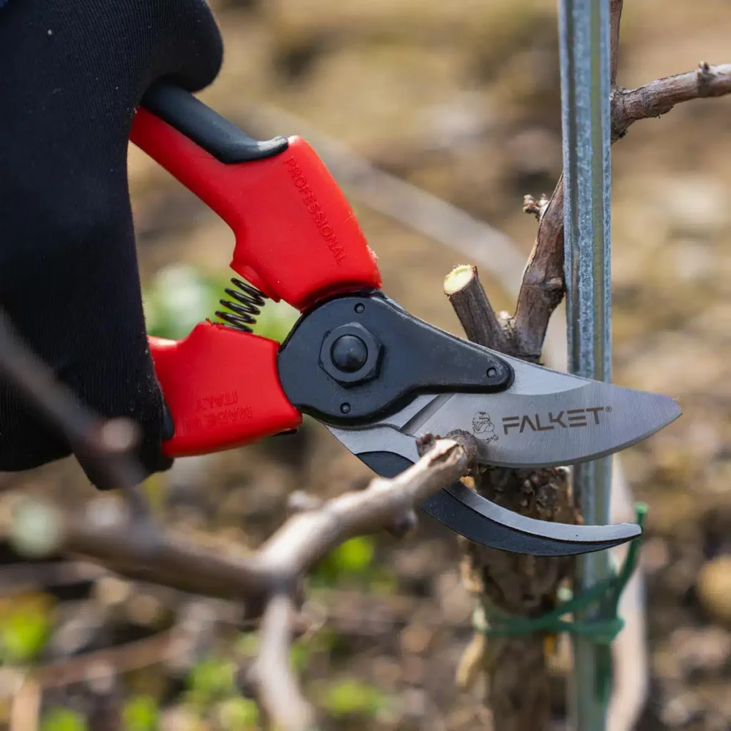 Secateur FALKET 2097 1