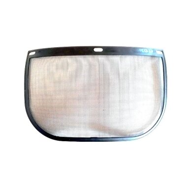 Helmet visor