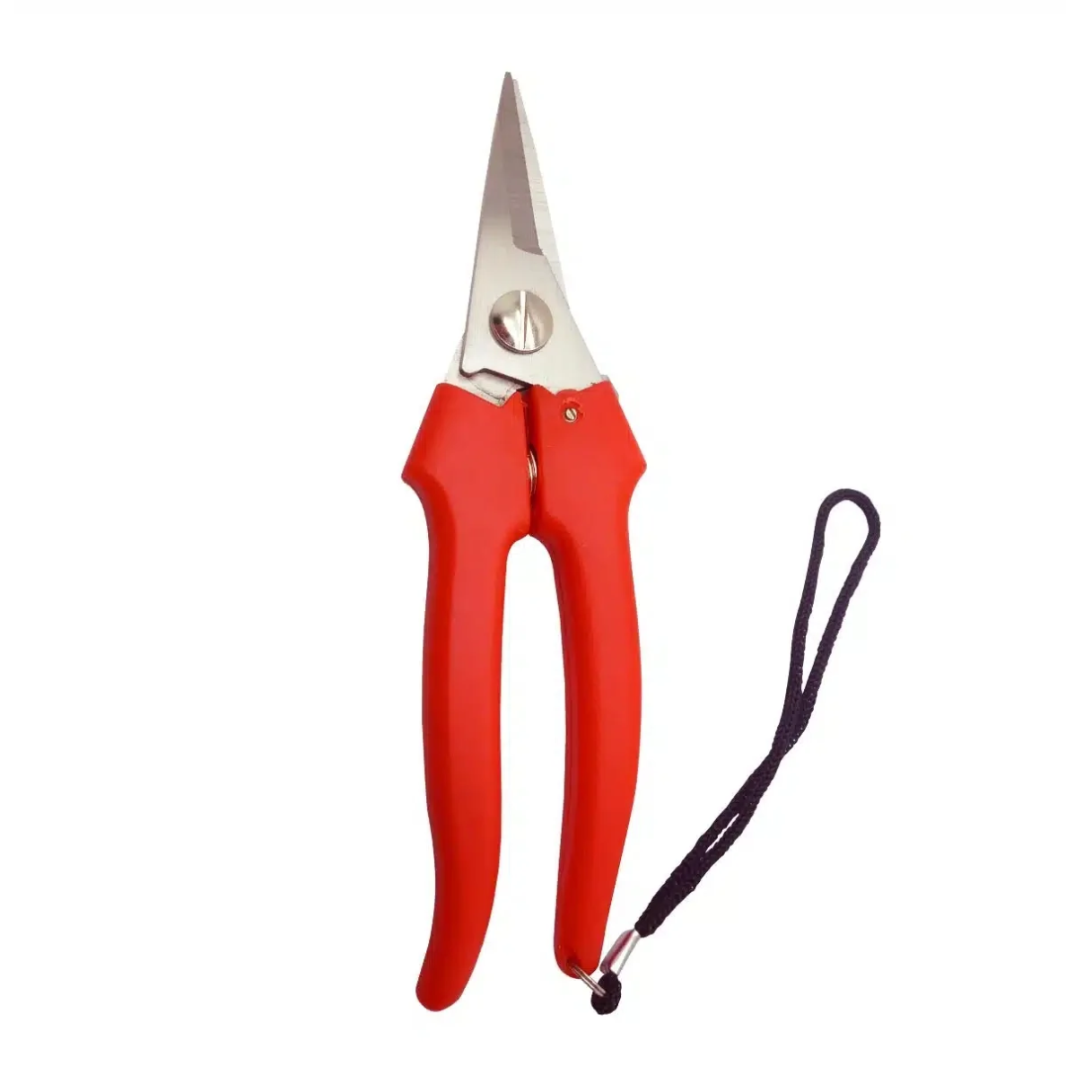 Stainless grape scissors Falket 1851 Stainless grape scissors Falket 1851