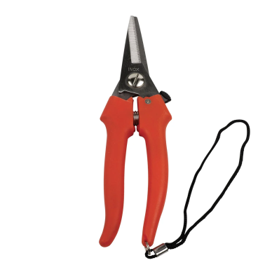 Stainless grape scissors Falket 1850 Stainless grape scissors Falket 1850